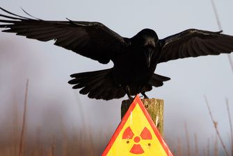 "Будет второй Чернобыль!" Россию предупредили о катастрофе