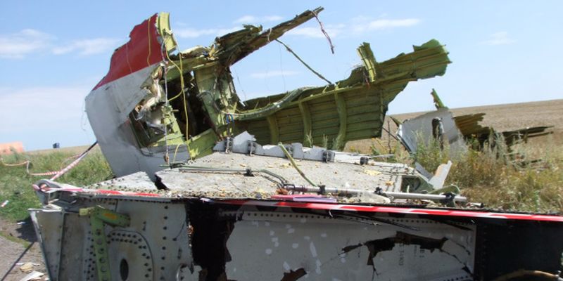 ПАСЕ возложила ответственность за сбитие самолета рейса МН17 на россию