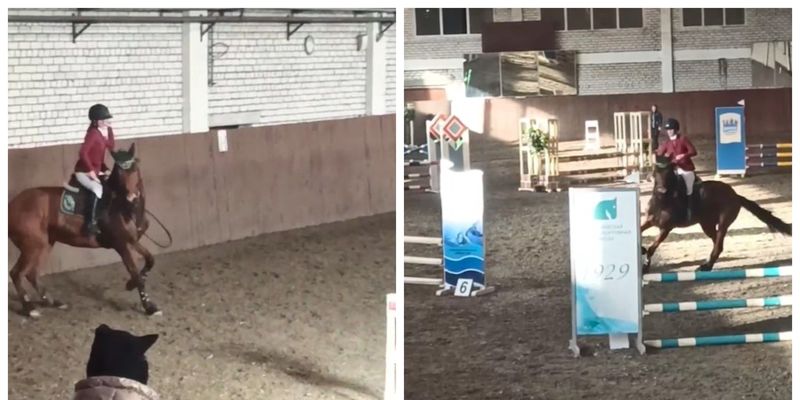 Российская всадница избила лошадь на соревнованиях