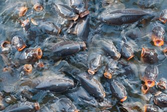 Інститут рибного господарства розвиватиме аквакультуру в Узбекистані