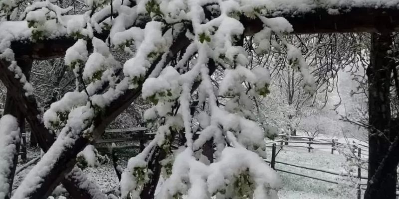 В Карпатах выпал снег и шесть градусов мороза