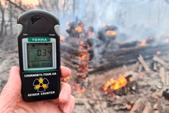 У Чорнобильській зоні продовжують гасити пожежу - ДСНС