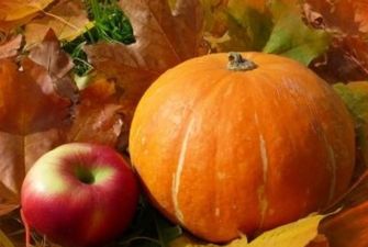 Привести вес в норму в осеннее время помогут разгрузочные дни на яблоках и тыкве - эксперт