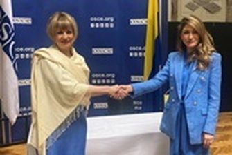ОБСЕ продолжит проектную деятельность в Украине