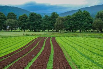 Точне землеробство стає доступнішим: BASF Digital Farming. Хarvio™ та AgriLab розпочали співпрацю