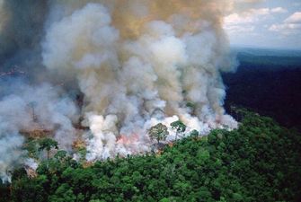 Дым достиг космоса: Бразилию накрыли рекордные пожары. Фото и видео