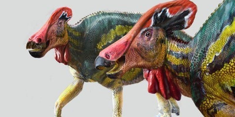 Найден новый вид "болтливого" динозавра с уникальными ушами: как он выглядел
