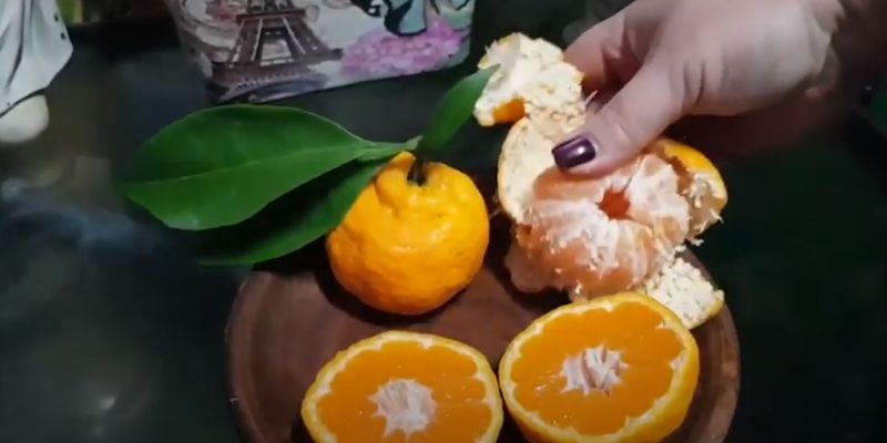 Чому не можна викидати мандаринові шкірки та як їх використовувати з користю