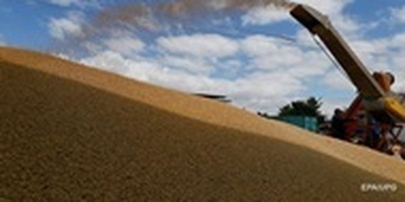 Как решается вопрос возобновления экспорта зерна соседям