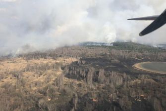 Рятувальники ліквідовують лісову пожежу у Зоні відчуження