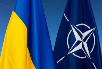 Украина может вступить в НАТО и без ПДЧ – депутат