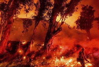 В NASA показали, как дым австралийских пожаров распространился по всей атмосфере планеты