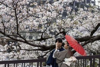 Ранняя сказка: в Японии в рекордные сроки зацвела сакура