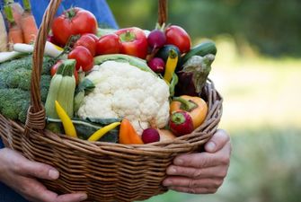 Что кушать в сентябре: самые полезные овощи