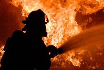 Во французской Жиронде удалось остановить лесные пожары