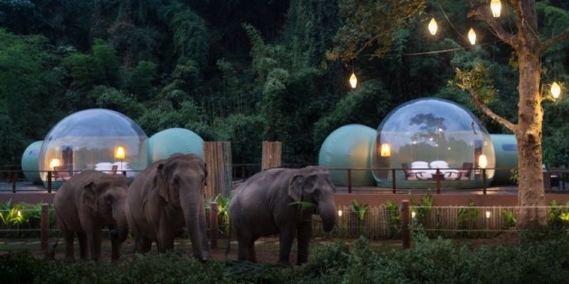 В Таиланде туристы могут переночевать в компании слонов