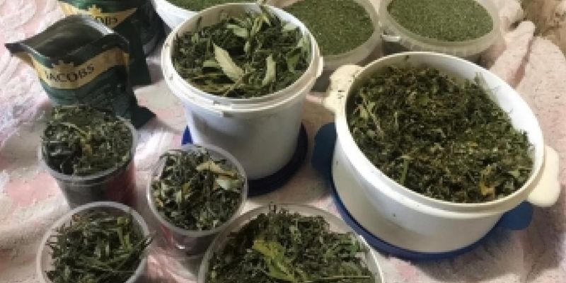 У жителя Мелитополя изъяли два килограмма марихуаны