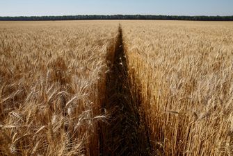 "Різні бачення з акціонером": керівник Державної зернової корпорації йде після чотирьох місяців роботи