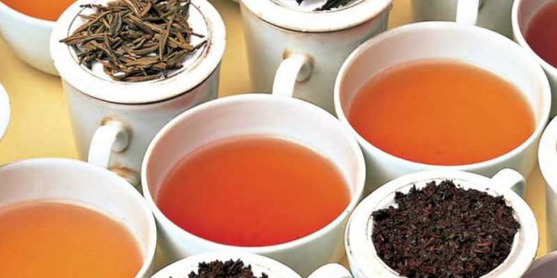 Эксперты назвали самые полезные сорта чая