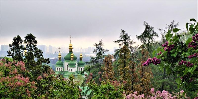 Раньше нормы: в киевском ботсаду уже сезон цветения сирени и азалий