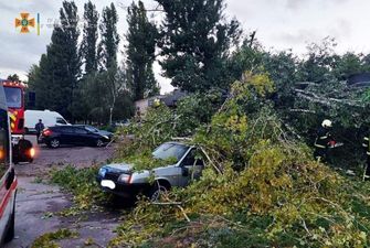 Непогода в Черкасской области наделала бед: повалены десятки деревьев, есть травмированные