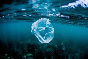 На саміті G20 домовились, як скоротити пластикові відходи в світовому океані
