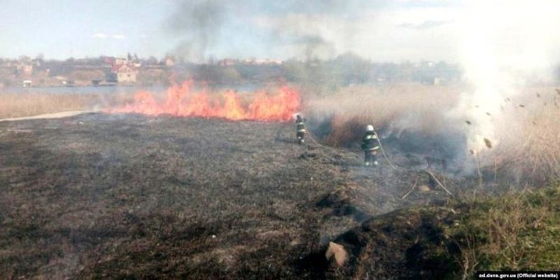 Тварини у небезпеці: на Одещині горить національний природний парк – фото