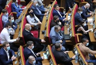 Рада должна проголосовать за сокращение количества депутатов в январе — Совгиря