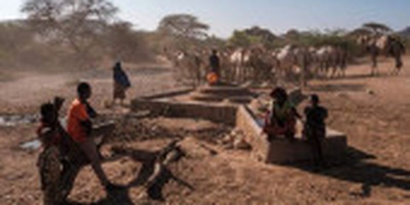 Посуха на Африканському Розі призвела до голоду 22 мільйонів людей