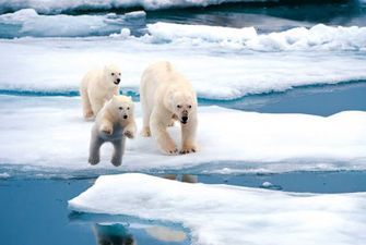 В Арктике стремительно тают ледники: Ученые выяснили, когда этот процесс закончится