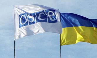 ПА ОБСЕ назначила спецпредставителя по парламентскому диалогу относительно Украины