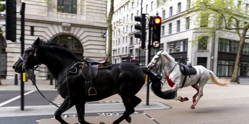 Дурной знак: лондонцев напугали "лошади Апокалипсиса" и остановившийся Биг-Бен