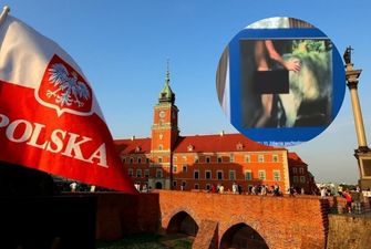 В Польше чиновники на конференции смотрели видео, где мигрант насилует осла
