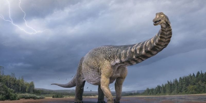 Ученые классифицировали новый вид динозавра - одного из самых больших, что жили на Земле