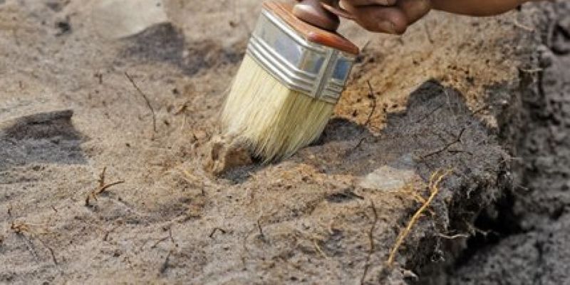 В Италии нашли древнюю могилу жительницы Рима: умерла от глютена в пище