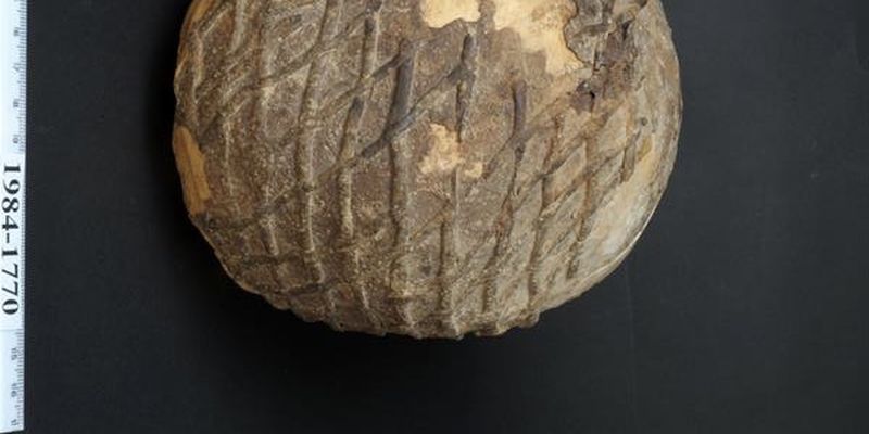 Ученые раскрыли секрет 9000-летнего черепа, украшенного асфальтом