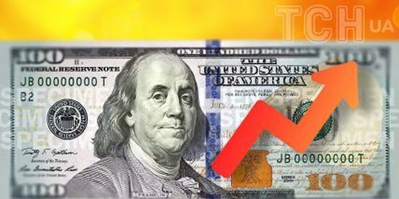 Курс валют в Украине: доллар стремительно пошел вверх, чего опасаются эксперты