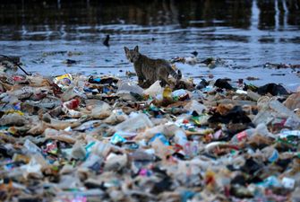 Румунія потопає у смітті: туристи та місцеві засипали купами непотребу ледь не усі пляжі