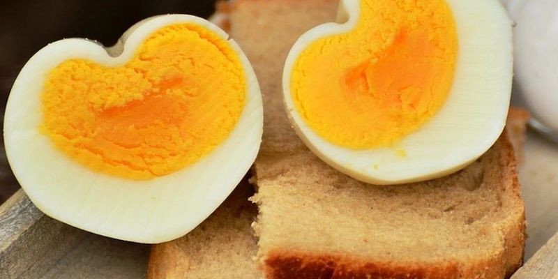 Диетолог сообщили, чем опасно ежедневное потребление яиц