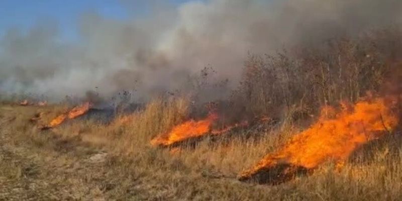 В Израиле из-за аномальной жары начались пожары