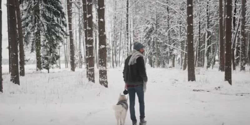 В Украину возвращаются морозы: где ожидать до -12