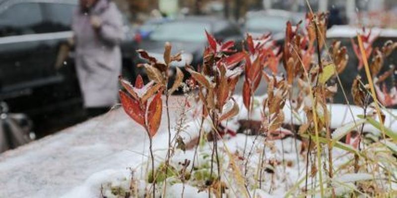 Дощ і сніг: прогноз погоди в Україні на останні вихідні осені, 26-27 листопада