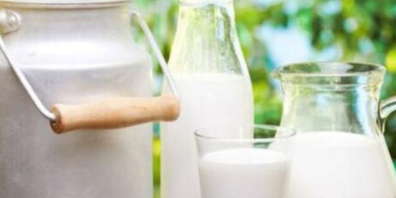 Диетолог развенчала популярные мифы о молоке