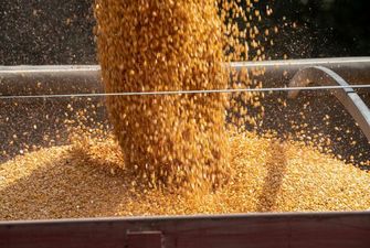 Пять стран ЕС потребовали полностью запретить ввоз зерна из России: список