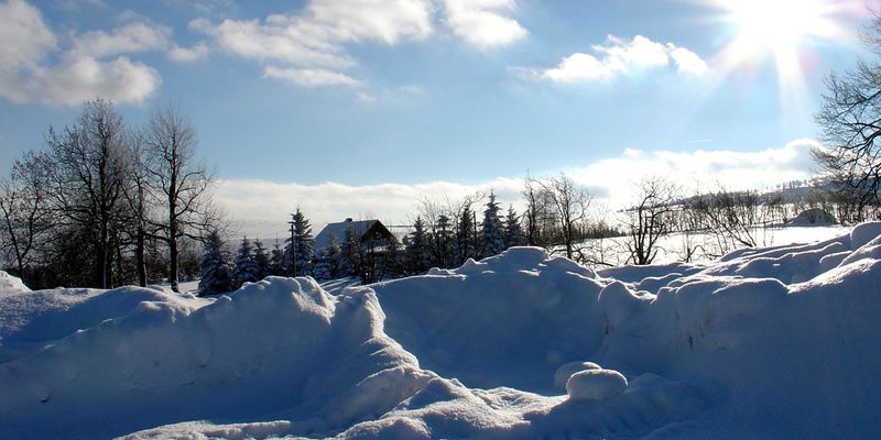 Прогноз погоды на зиму в Украине: будут ли сильные снега и морозы