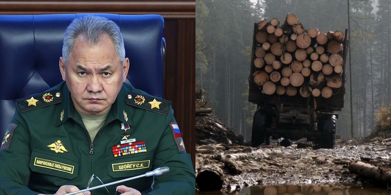 Страна воров: Путин и Шойгу подписали указ о вырубке и продаже украинских лесов 
