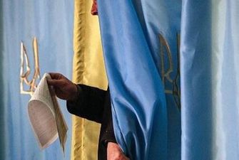 Подсчеты голосов от ЦИК: по 207 округу Черниговщины лидирует Рыбаков