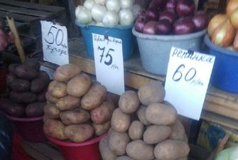 Журналист: стоимость картошки в «ЛНР» перевалила за доллар, при средней зарплате 100 долларов