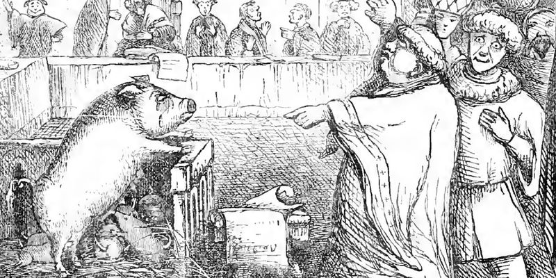Безумный средневековый суд. В 14 веке во Франции свинью приговорили к казни за убийство