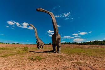 В Австралии открыли неизвестный ранее вид гигантских динозавров